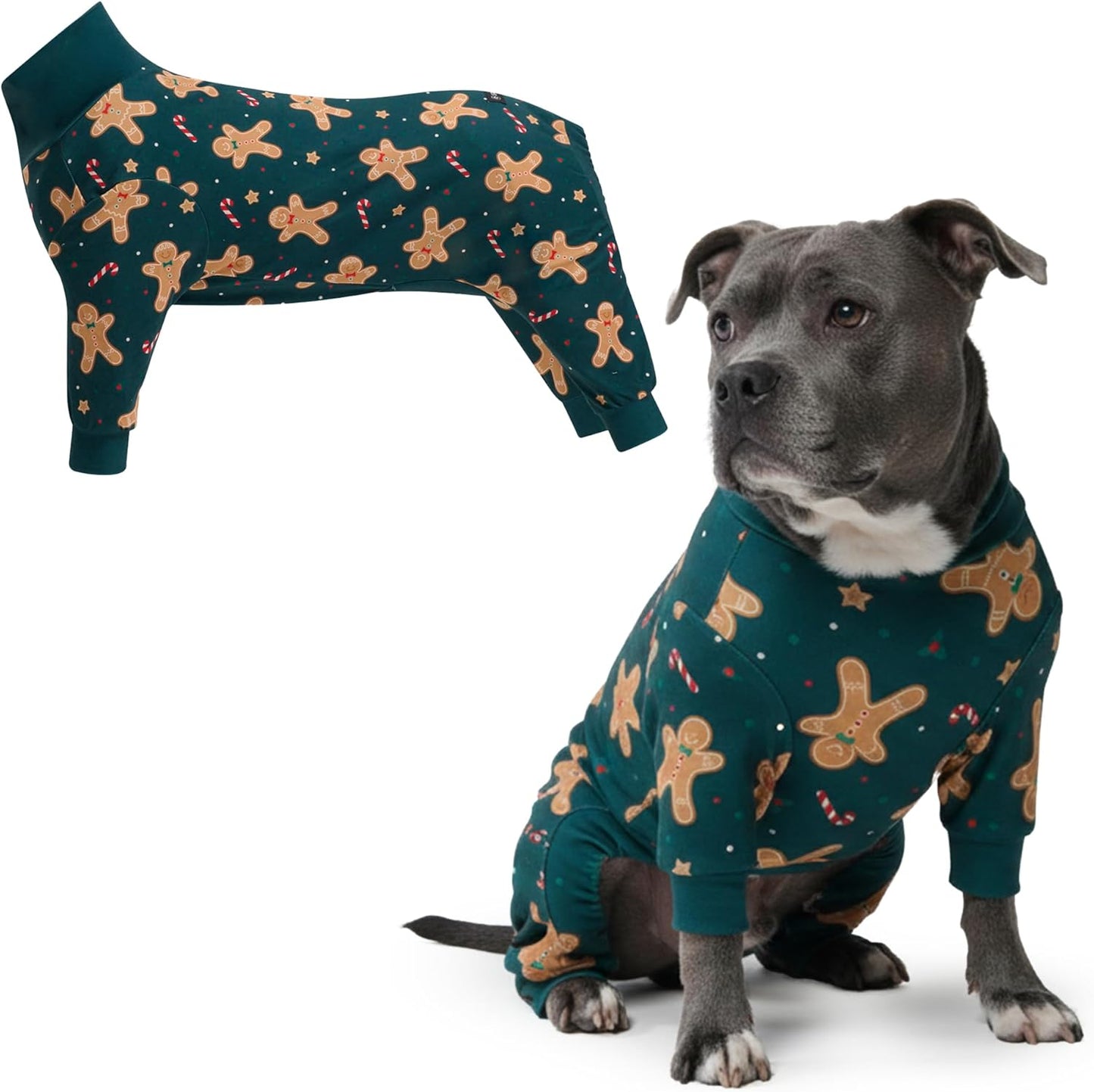 Dog Christmas Pajama, Dog Recovery Suit Male, Onesie, Ultra-Soft and 4-Way Stretch, for Small Medium and Large Breeds - Green and Red Plaid - M