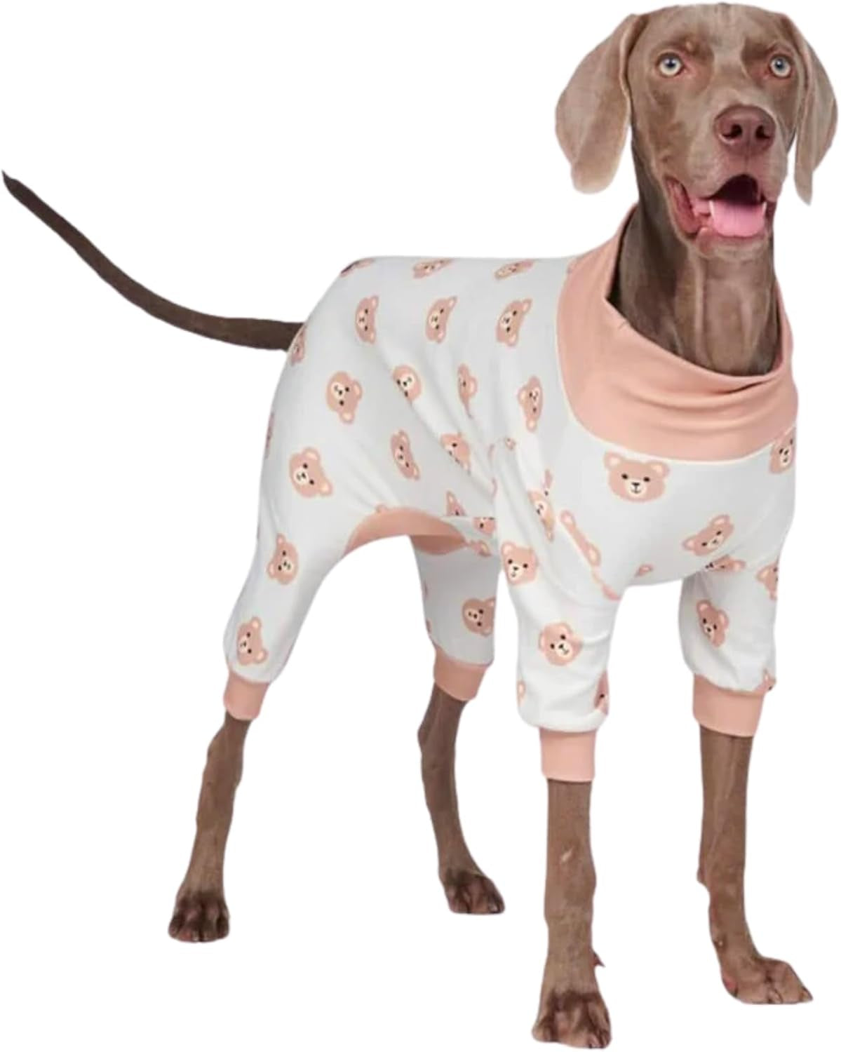 Dog Christmas Pajama, Dog Recovery Suit Male, Onesie, Ultra-Soft and 4-Way Stretch, for Small Medium and Large Breeds - Green and Red Plaid - M