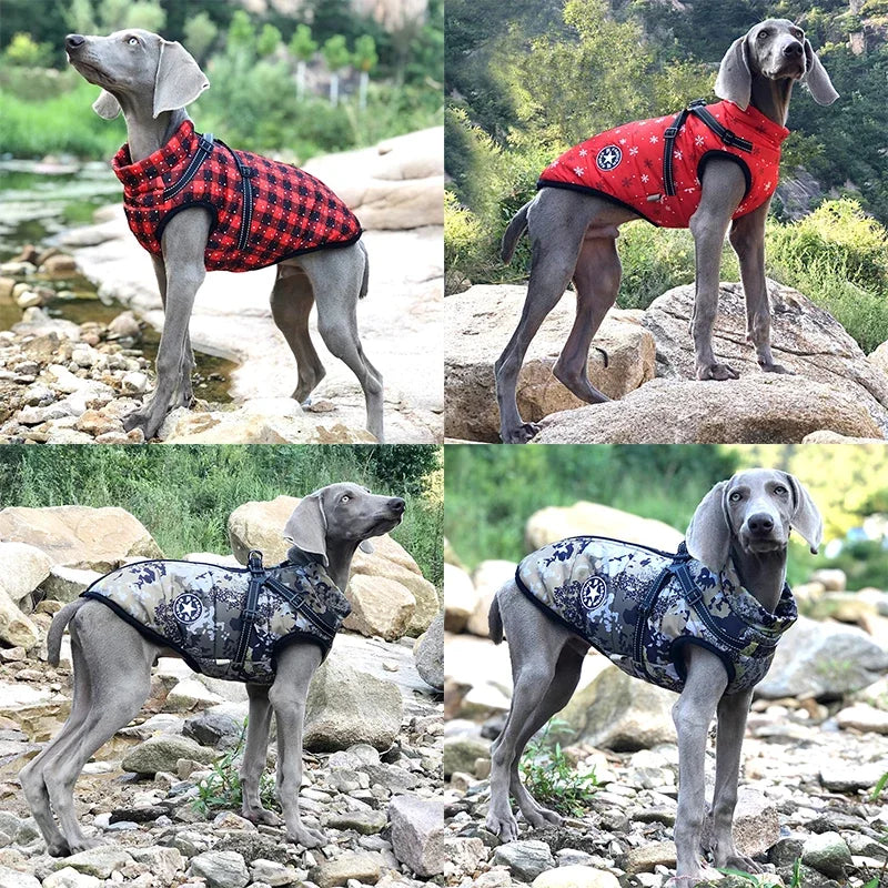 Waterproof Dog Coat & Harness – Large & Small Dog Jacket for Labrador, Chihuahua, French Bulldog